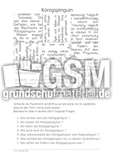 Königspinguin.pdf